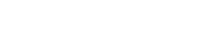 TON foundation logo